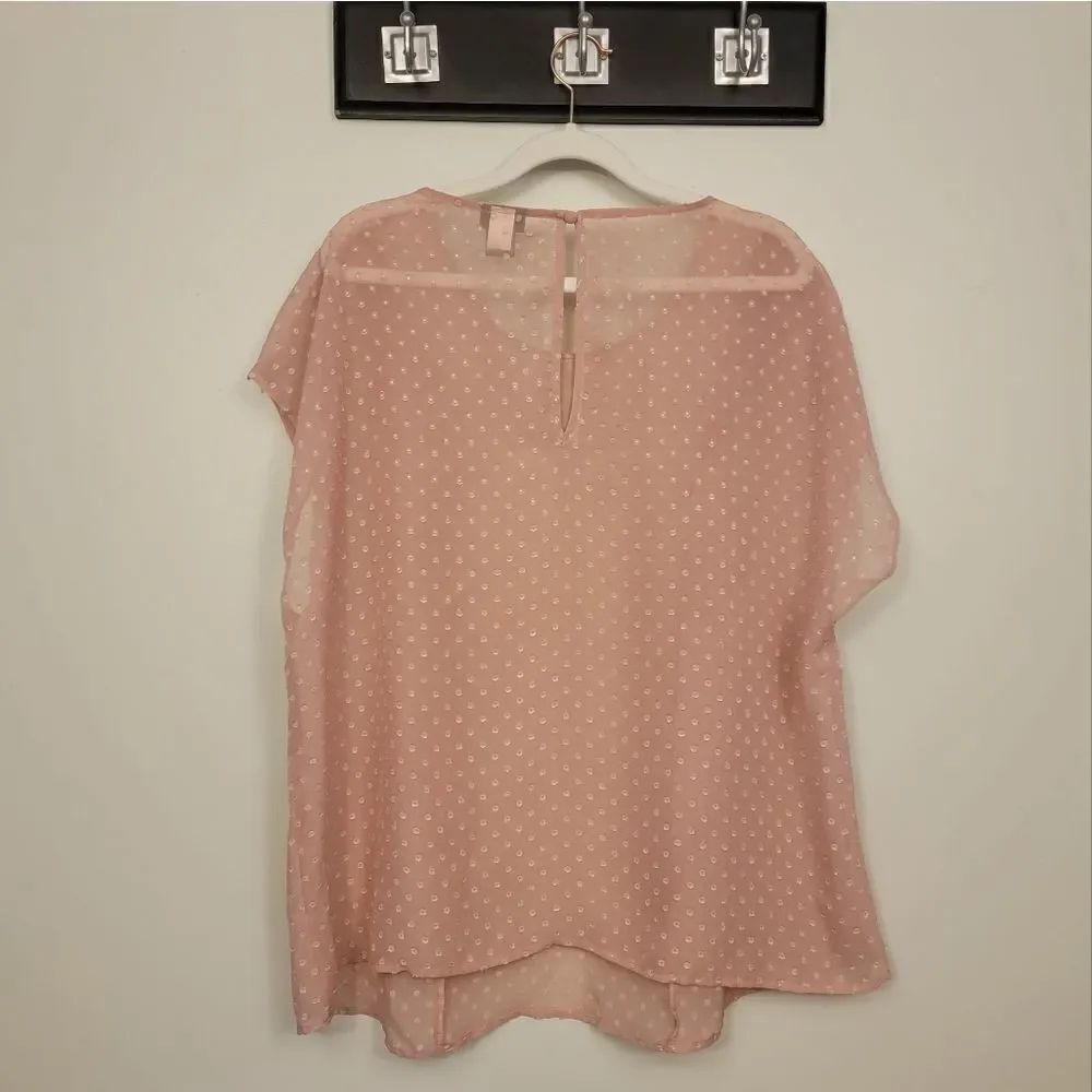 Torrid Ruffled Blouse - Picture 5 of 6